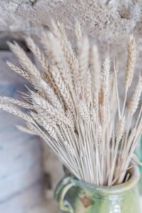 Bouquet d’épis de blé secs dans un vase en céramique verte, posé contre un mur en pierre.